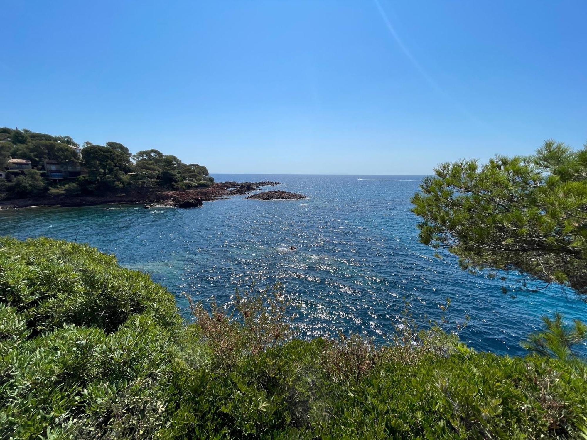 Yacht Studio Galarne Saint-Raphaël Eksteriør bilde